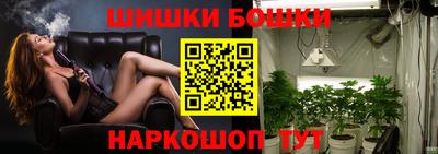 хмурый Камышлов